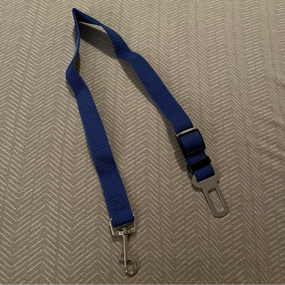 PET SEATBELT